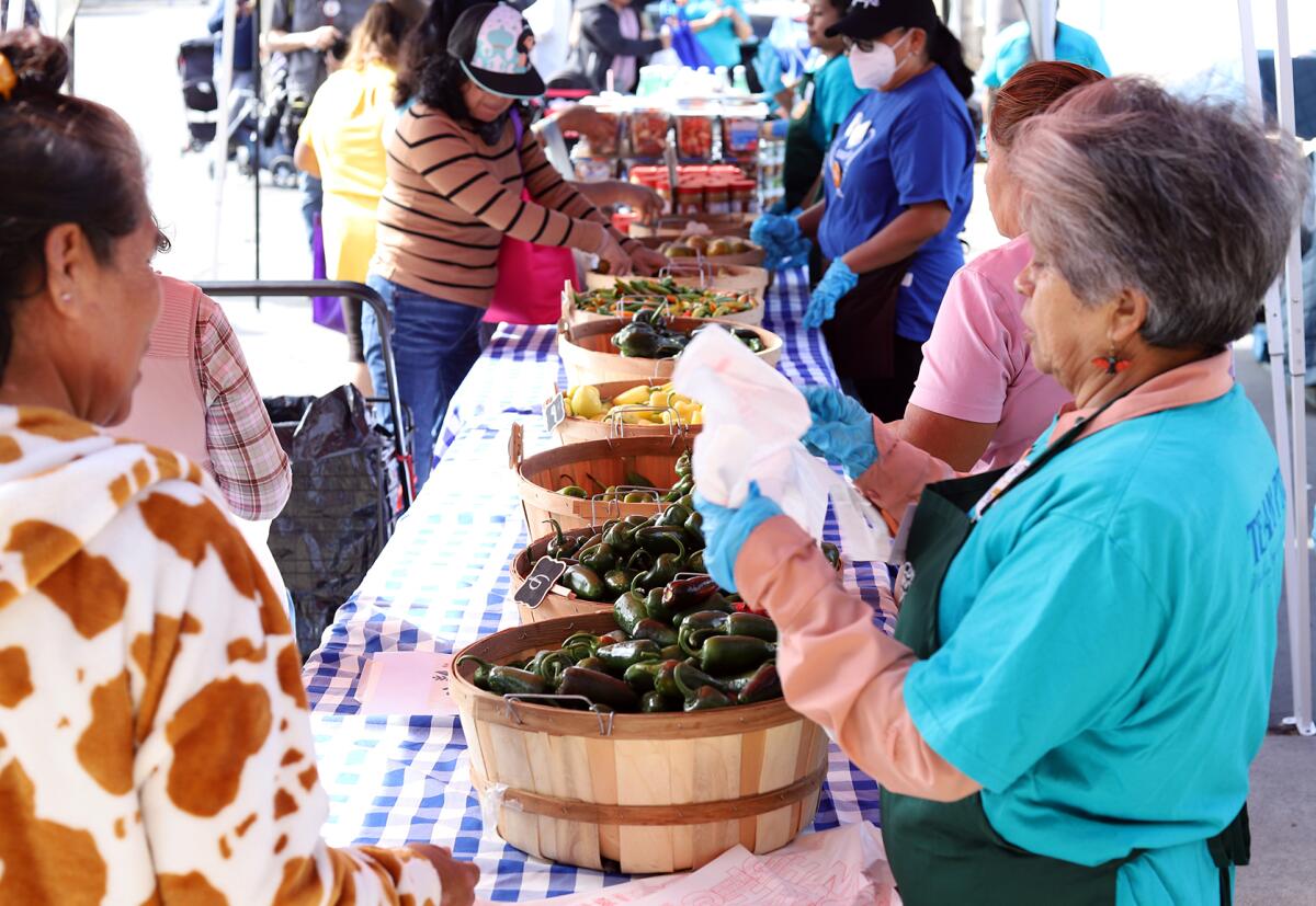 People from the Oak View community pick fresh organic peppers at the Second Harvest Food Bank's Mobile School Pantry.