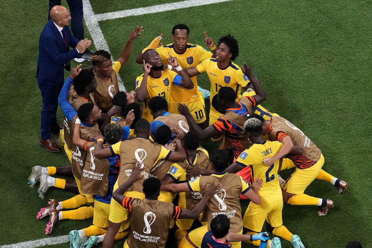 Ecuador players celebrate scoring 