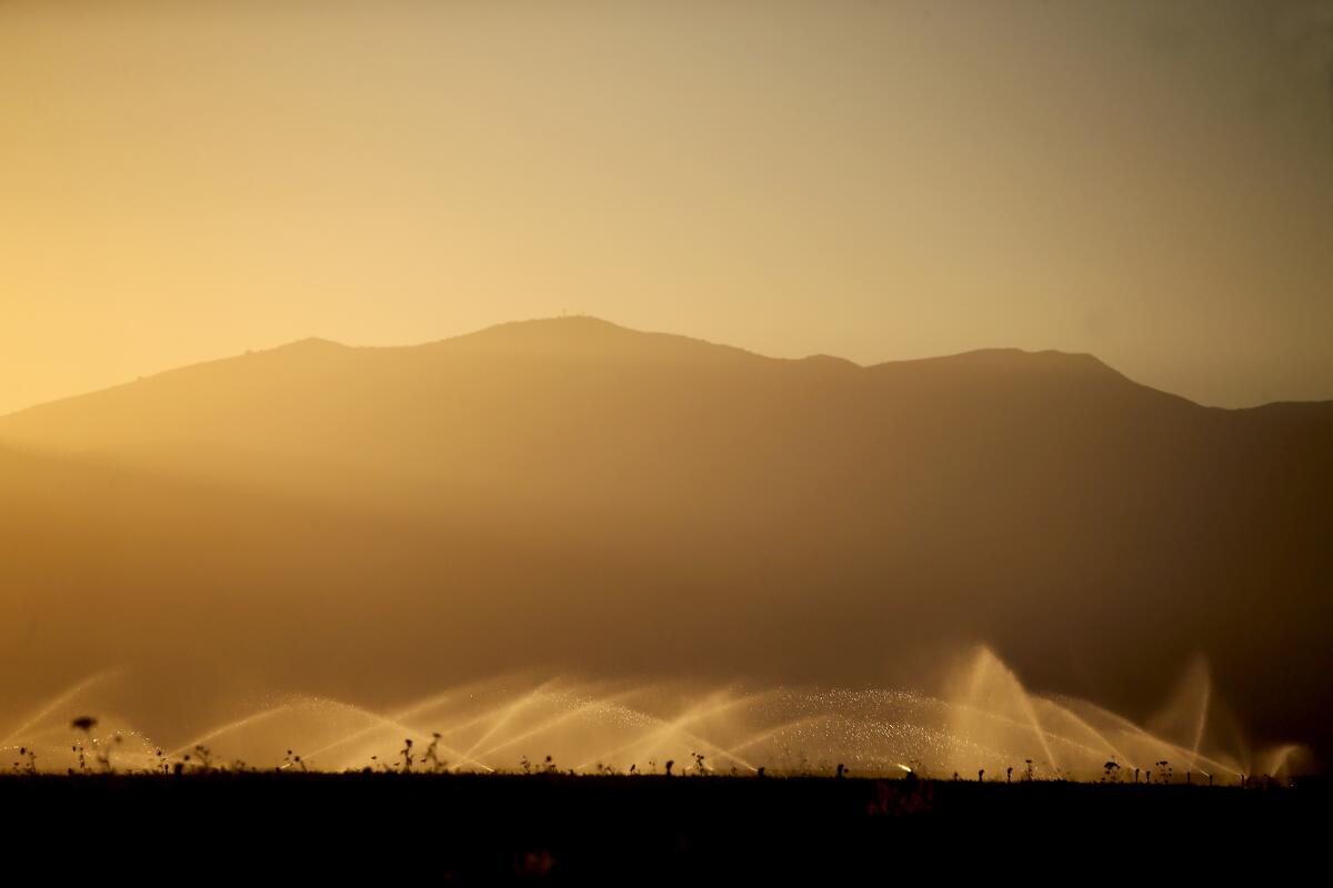 An irrigation system waters carrot fields in the Cuyama Valley.