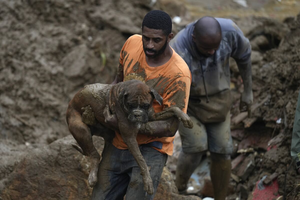 FILE - A man carries a dog rescued from a residential area destroyed by landslides in Petropolis, Brazil, Feb. 16, 2022. Scientists have long been warning that extreme weather would cause calamity in the future. But in Latin America — which in just the last month has had deadly landslides in Brazil, wildfires in the Argentine wetlands and flooding in the Amazon so severe that it ruined harvests — that future is here already. (AP Photo/Silvia Izquierdo, File)