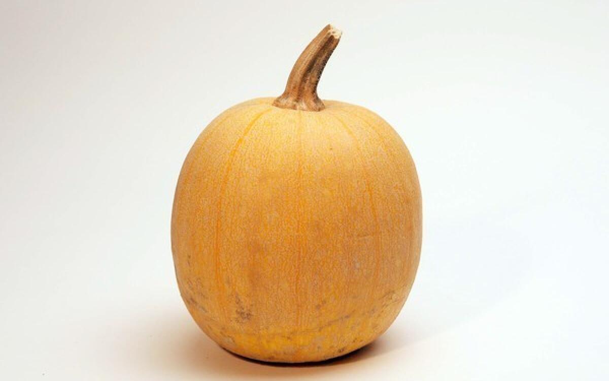 Craft pumpkin tart