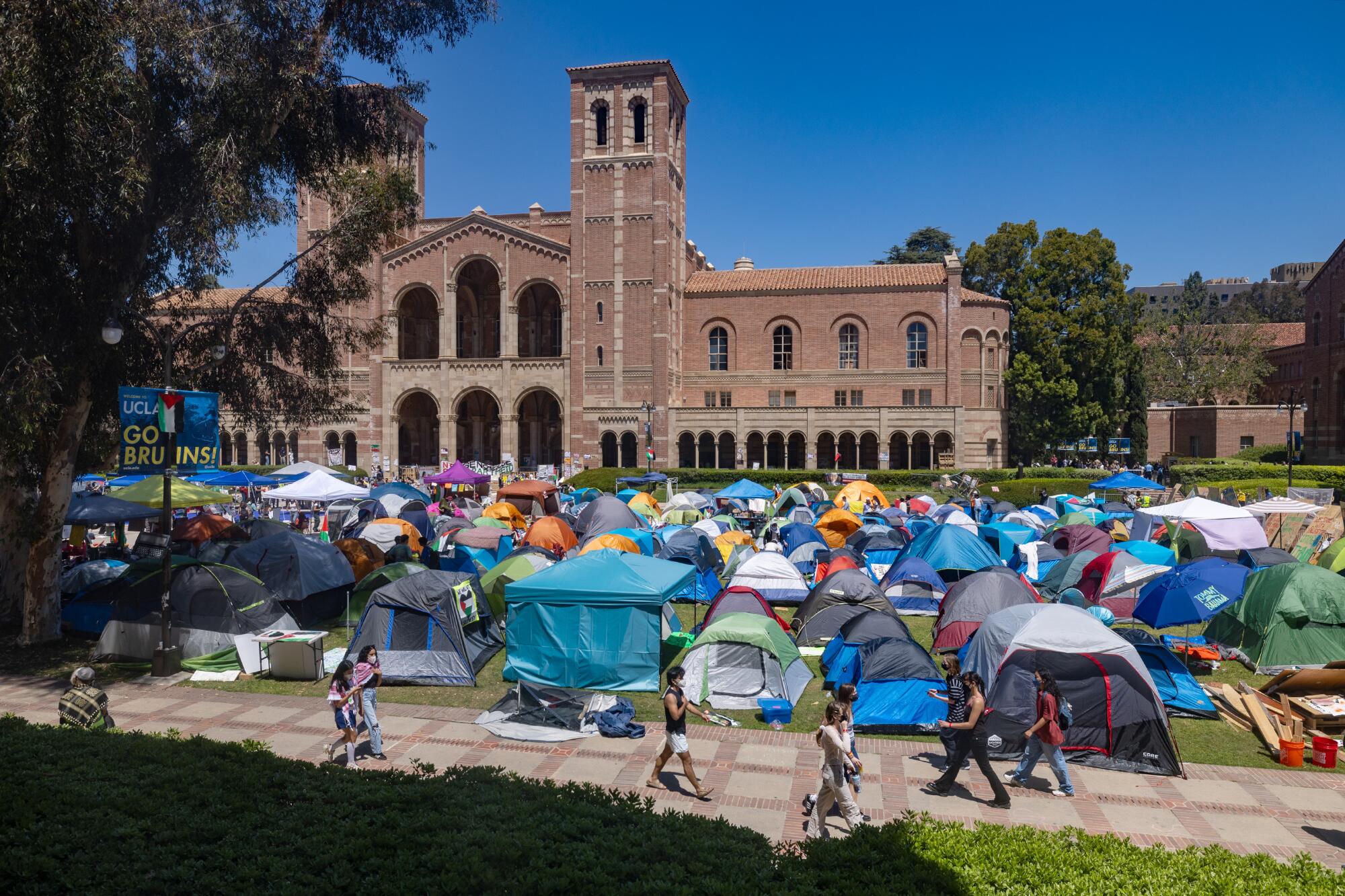 Um acampamento de tendas em um gramado do lado de fora do Dickson Plaza da UCLA