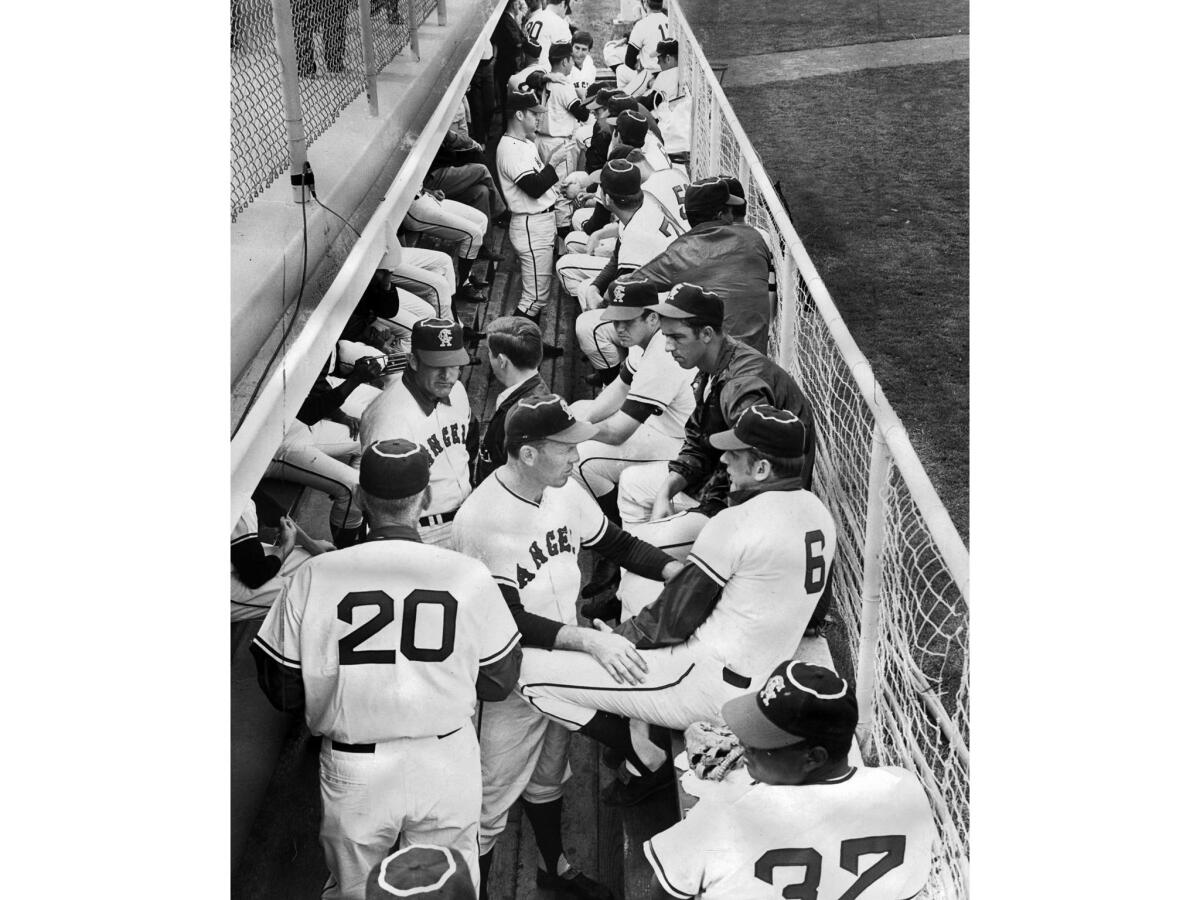 March 10, 1969: With 56 players in camp, the Angels dugout at Palm Springs gets jammed.