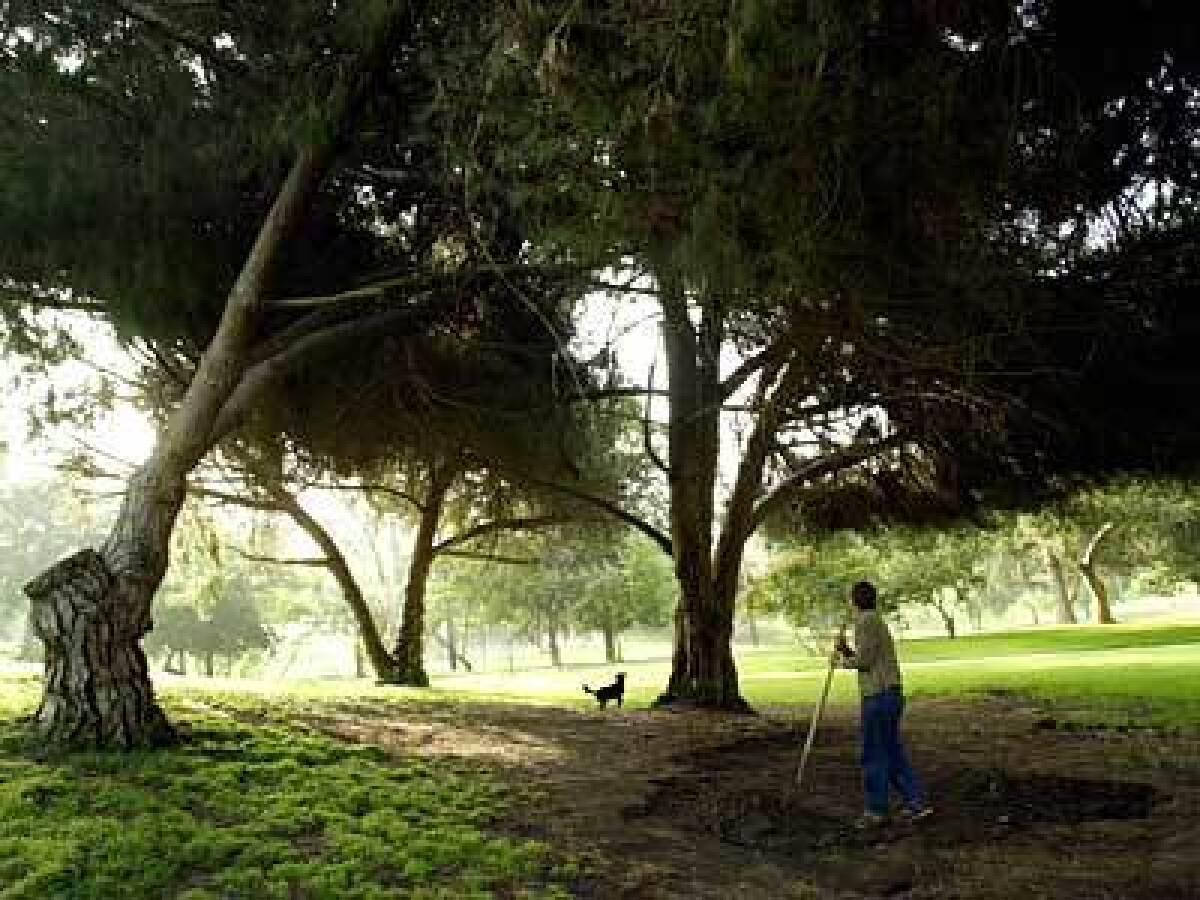 Residents and their pets frequent the Cheviot Hills Park and Recreation Center.