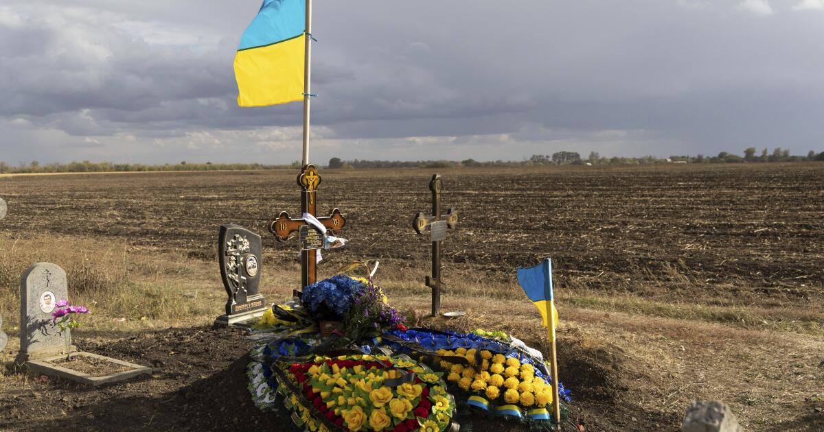 ?url=https%3A%2F%2Fcalifornia-times-brig