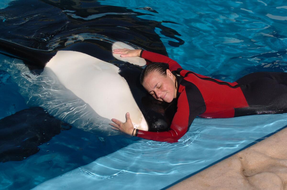 Dawn Brancheau, a trainer shown performing in 2005, was killed by an orca at SeaWorld in Orlando, Fla., in 2010.