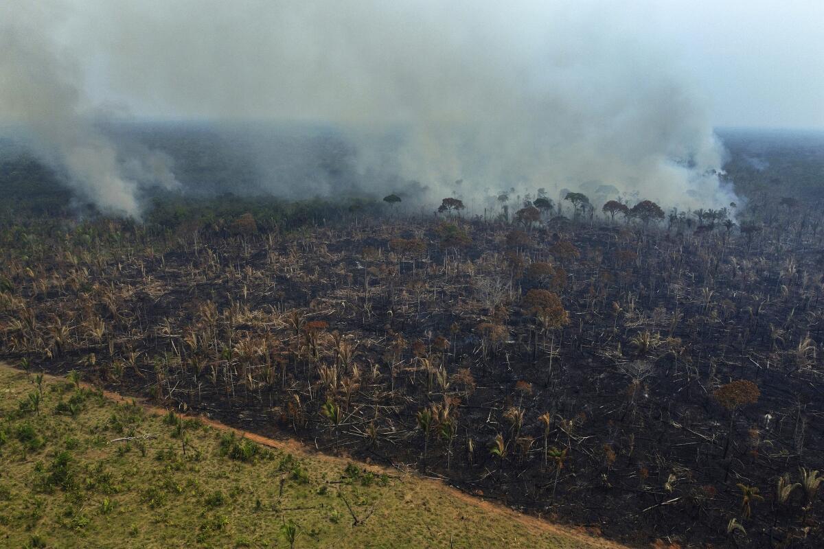 ARCHIVO - El humo se eleva desde un incendio forestal 