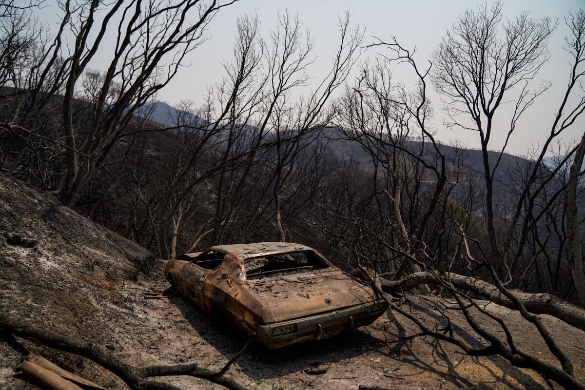 A charred car sits on a mountain blackened by the LNU Lightning Complex fire.