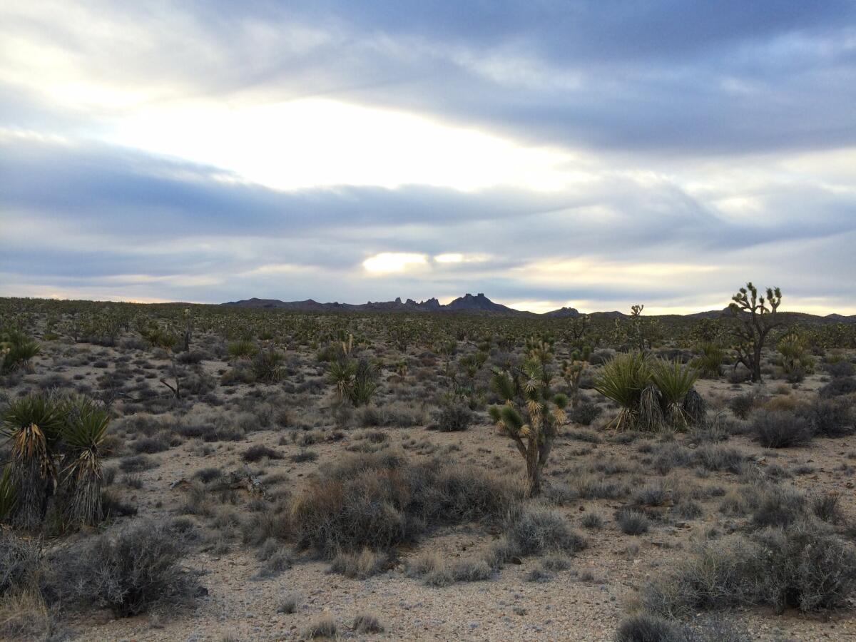 Castle Mountains