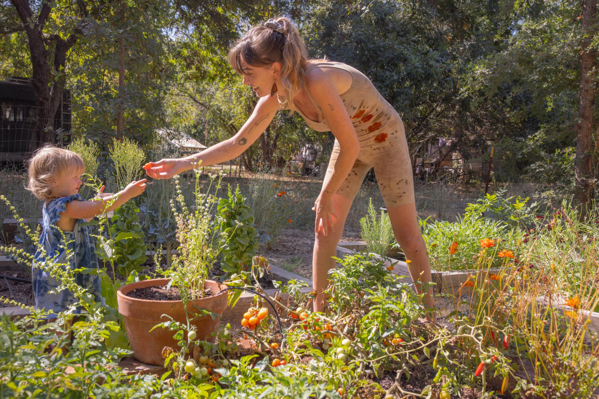 Laura La Rue reaches her hand out to her 16-month-old daughter, Lasca, in her dye garden.