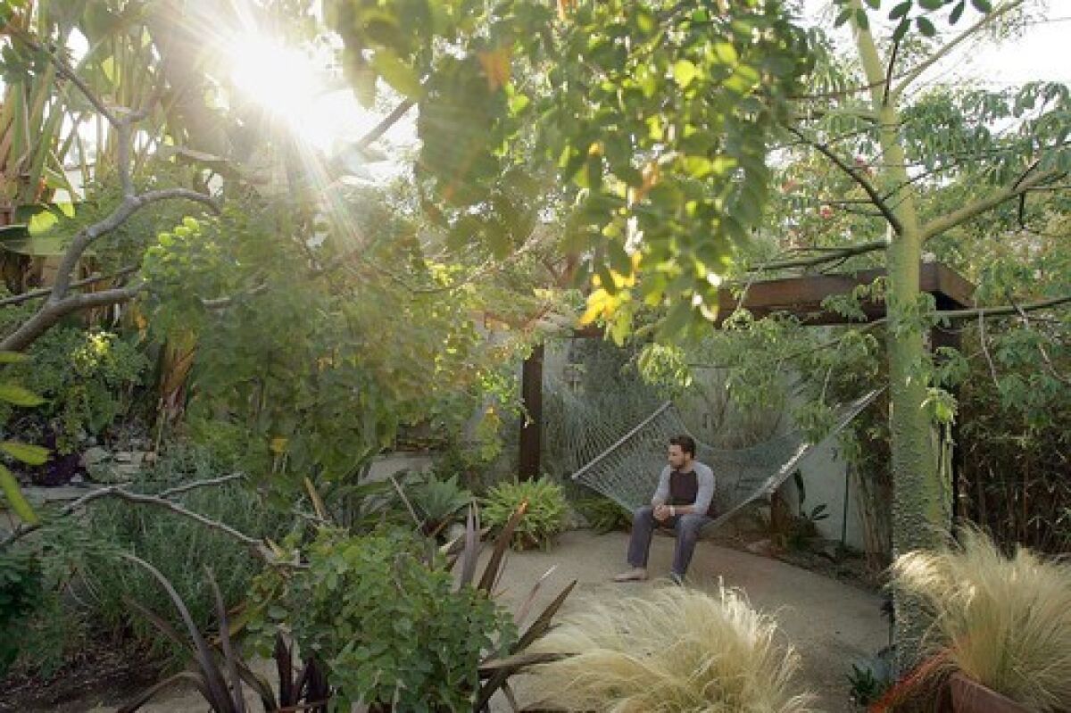 The garden of the Lund residence in Silverlake is where a swimming pool once stood. Jeff Lund, son of the owners, sits on a hammock in the backyard.