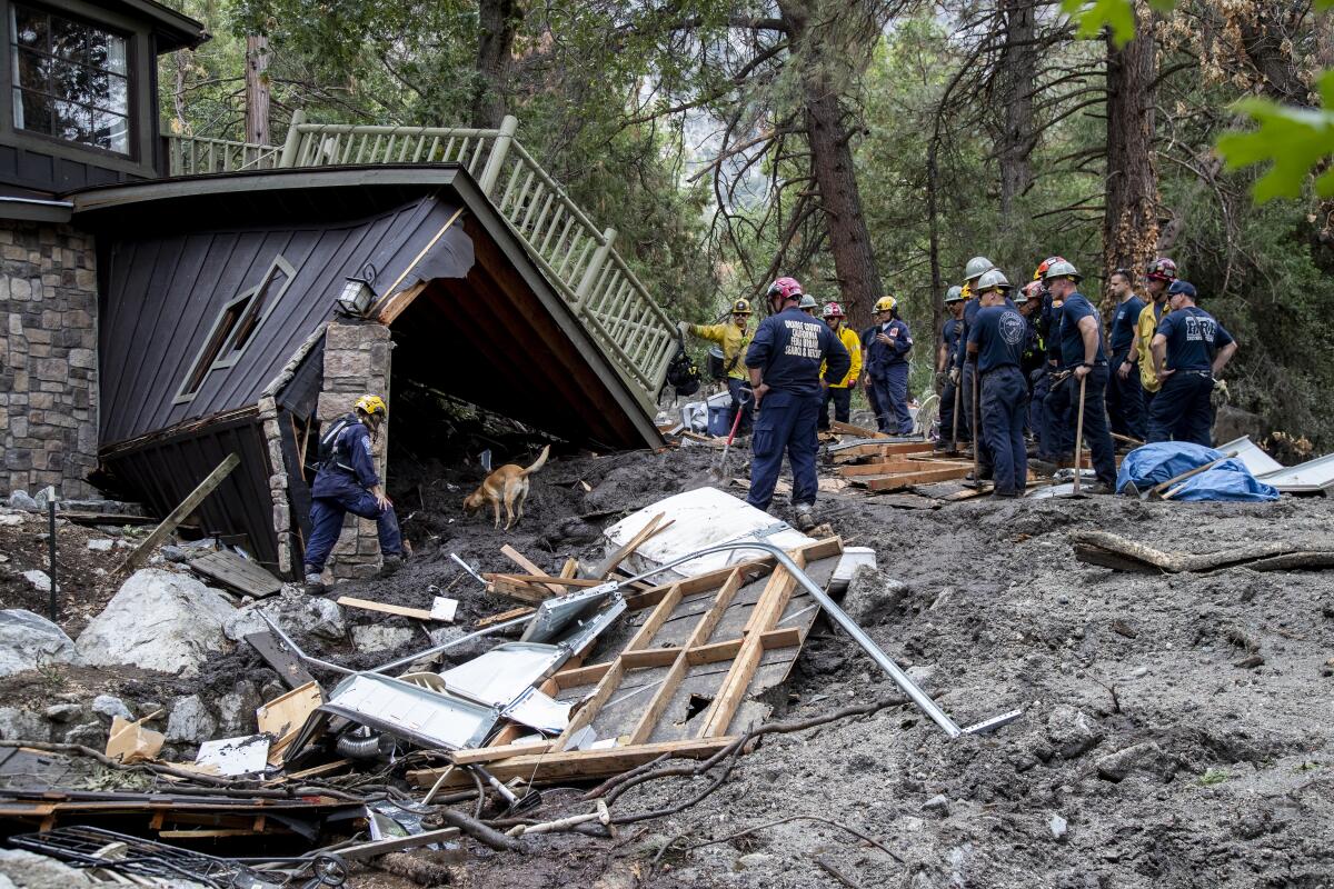A search and rescue team with a dog outside a damaged structure surrounded by mud, rocks and debris