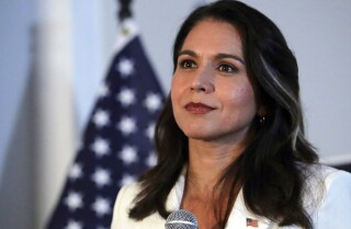 Tulsi Gabbard