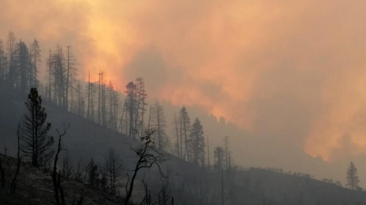 The Rough fire is the largest active fire in California, the majority of which is burning the the Sierra National Forest and Sequoia National Forest.
