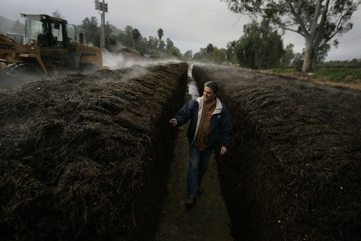 Gary Crouch, owner of the Escondido farm, walks near substrate that has been moistened and which will provide the growing medium for the mushrooms. It is made of peat moss, limestone, gypsum, straw, and other matter. — John Gastaldo
