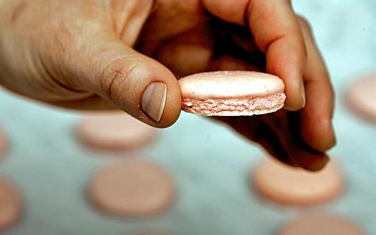 Bake in Paris: Brush Embroidery and The Queen of Macaron