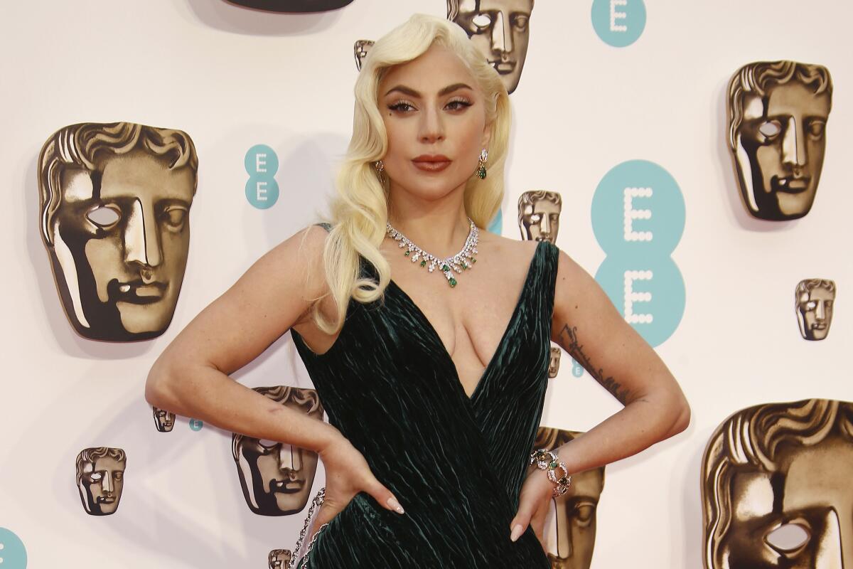 Lady Gaga poses in a velvet gown with her hands on her hips. 