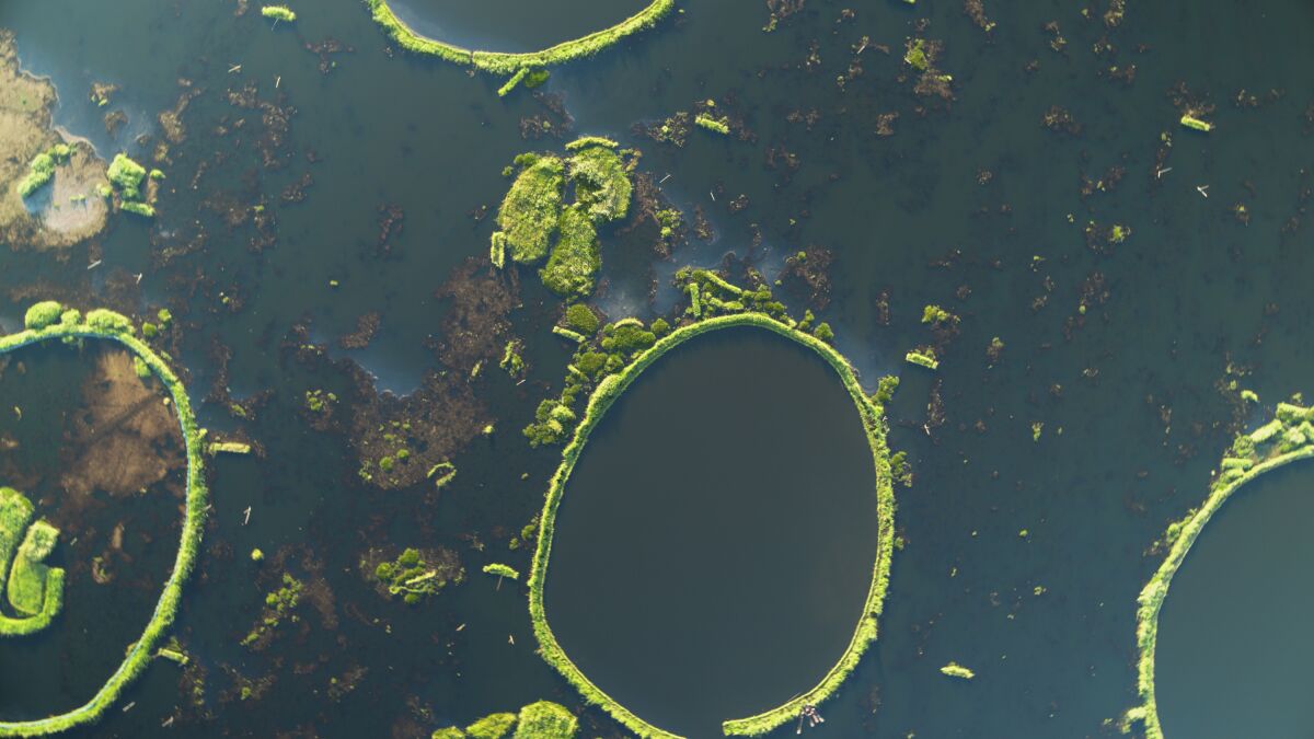 This image released by National Geographic shows circular Phumdis floating atop Laktak Lake, the largest freshwater lake in northeast India, from the two-part special "India From Above," narrated by actor Dev Patel. (Abhik Wadhwa/National Geographic via AP)