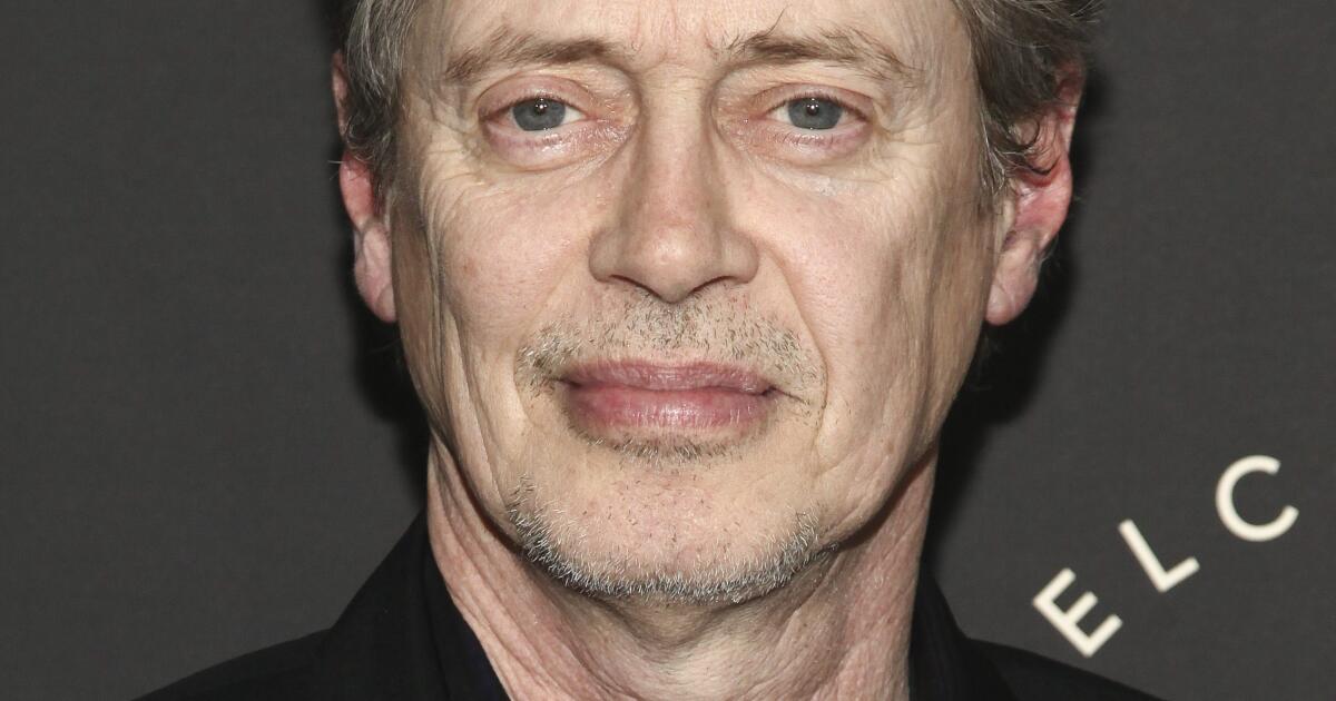 Steve Buscemi’s alleged attacker is due in court on Thursday to face assault charges