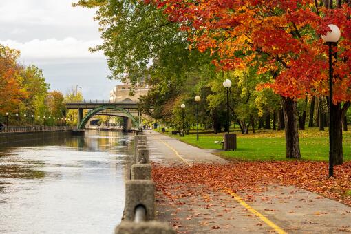 A photo of fall foliage in Ottawa, Ontario, Canada.