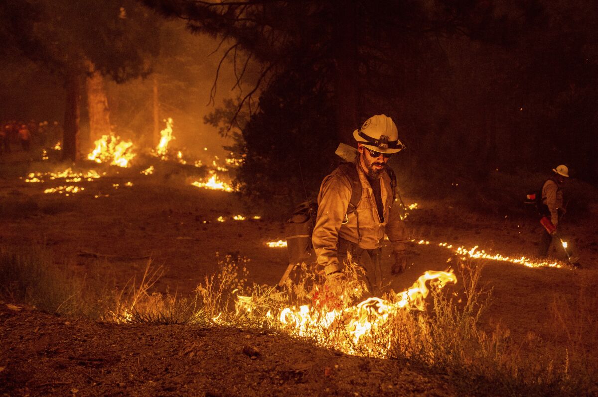 Firefighters with hand torches burn grass