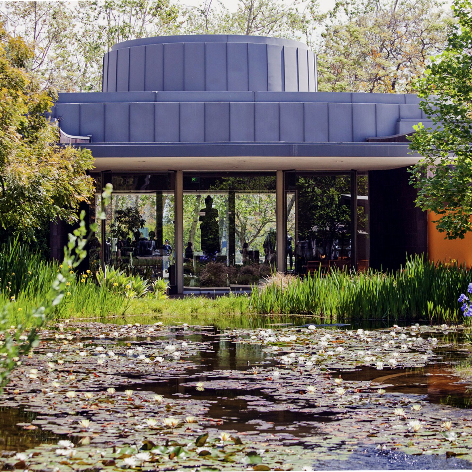 The Norton Simon Museum's Garden Pond.