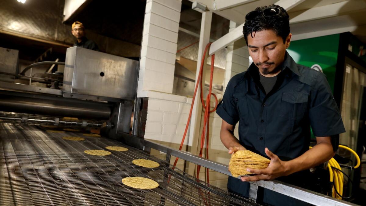 Ommar Ahmed Hernandez, co-owner of Kernel of Truth tortilla company, counts yellow corn tortillas