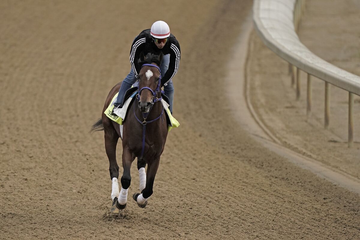Kentucky Derby entrant Tiz The Bomb works out at Churchill Downs on Wednesday.