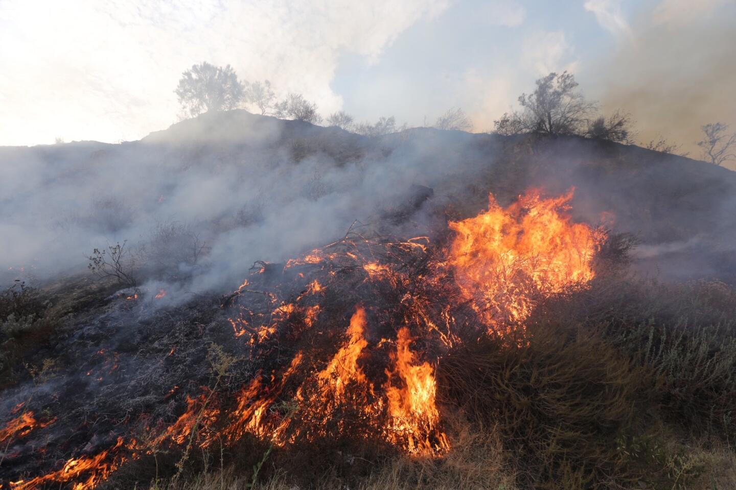 La Tuna fire