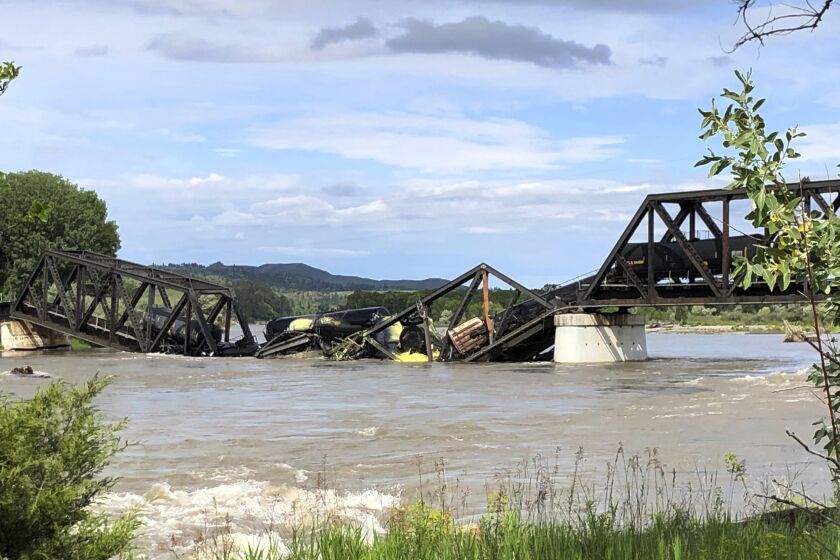 Varios vagones de un tren de carga están semisumergidos en el río Yellowstone tras el derrumbe de un puente cerca de Columbus, Montana, sábado 24 de junio de 2023. (AP Foto/Matthew Brown)