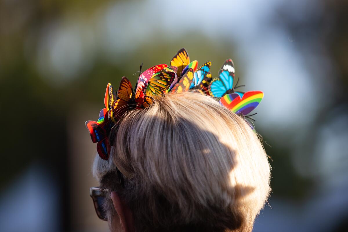 A number of participants at San Diego’s Alzheimer’s annual walk wore butterfly-themed garments