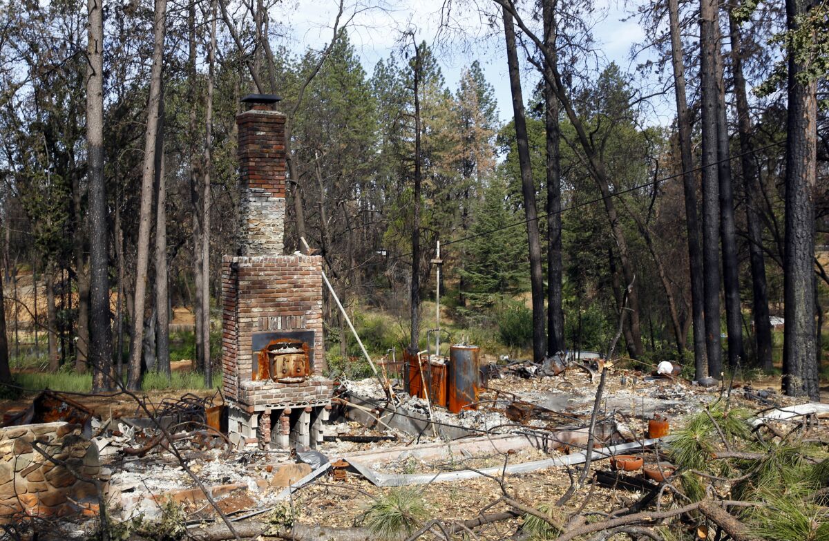 This Aug. 21, 2019 photo shows burned trees surrounding the burned out remains of a home destroyed by last year's Camp Fire, in Paradise, Calif. 