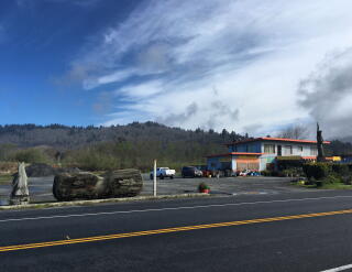 A large peanut carved from a redwood tree sits in a market parking lot alongside a highway.