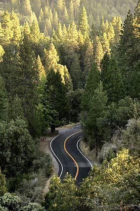 Unmarked forest roads