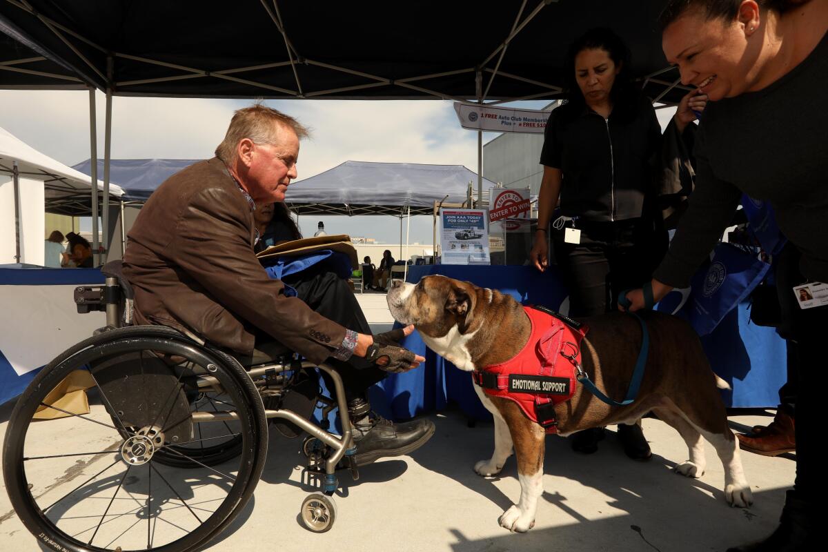 The Rev. Andy Bales reaching toward a dog with a vest labeled "emotional support"