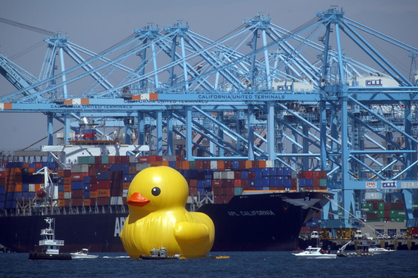 VIDEO: Giant Rubber Ducky Waddles into Bay Waterfronts