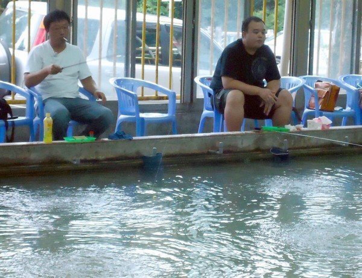 Visitors wait for the shrimp to bite at Chuencheng, one of the older shrimp fishing pools in Taipei, Taiwan.