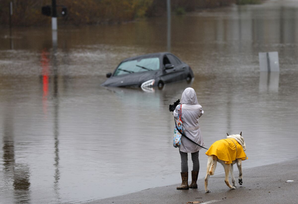 Fanny Santosa walks her dog Enzo along the flooded Mission Center Road near the San Diego River in Mission Valley