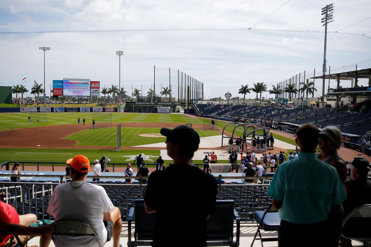 Fans looks on during batting practice before a spring training game between the Nationals and the Yankees.