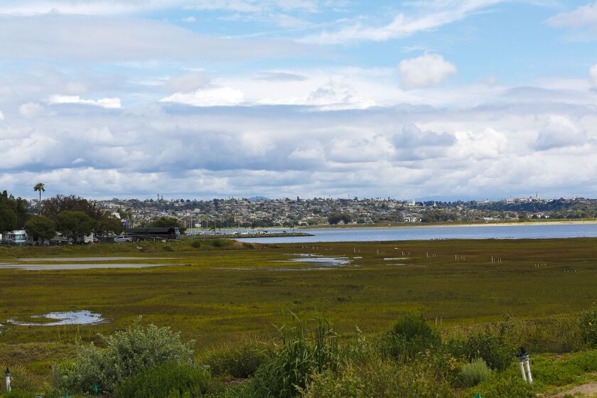 A view of Kendall-Frost Mission Bay Marsh Reserve on the corner of Pacific Beach Drive and Crown Point Drive. The Mission Bay Park Master Plan calls for 120 acres of marshland. The City's preferred plan would add 84 acres of Campland on the Bay (in the back left, above) to the existing 40 acres of the Marsh Reserve.