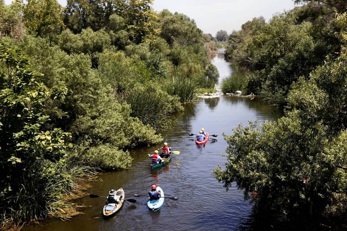 Kayaking on the L.A. River