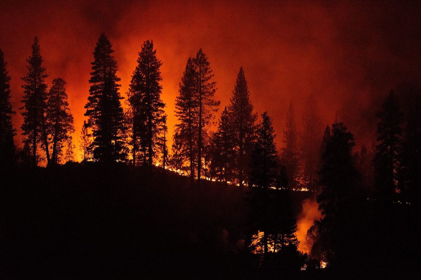 Firefighters set a controlled burn to rob fuel from the King fire near Pollock Pines, Calif.
