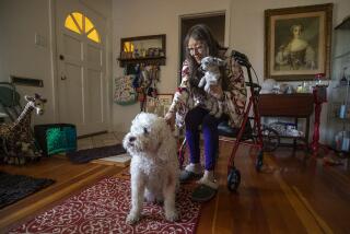 VALLEY VILLAGE, CA-MAY 8, 2023:Maxine Shelley, 82, who lives alone at her home in Valley Village, is photographed with her 2 dogs, Ruby Mae, left, a 7 year old bichon frise, and Rylee Mae, a 7 year old teacup shih tzu. Her husband, Richard Shelley, a drummer for the band, Iron Butterfly, died, unexpectedly, last September. (Mel Melcon / Los Angeles Times)