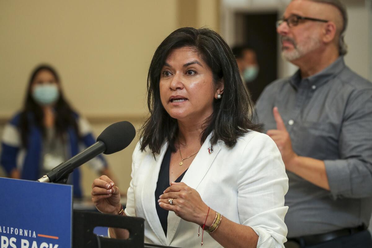 Lourdes Castro Ramírez talks at a meeting