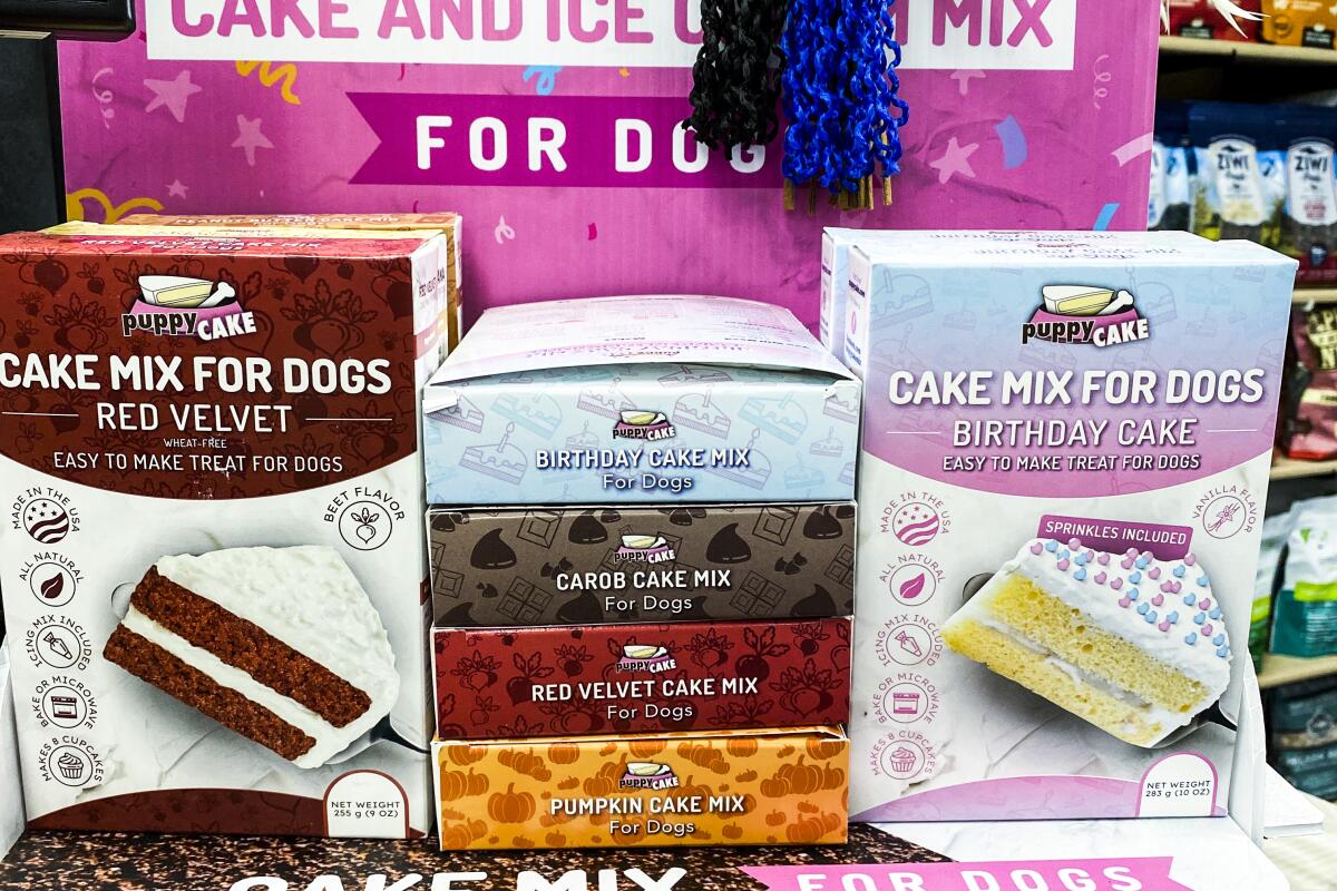 A stack of cake-mix boxes for dogs