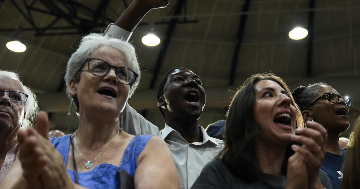 Black women, white dudes, crazy cat ladies: Identity groups fuel a groundswell for Harris Black women, white dudes, crazy cat ladies: Identity groups fuel a groundswell for Harris
