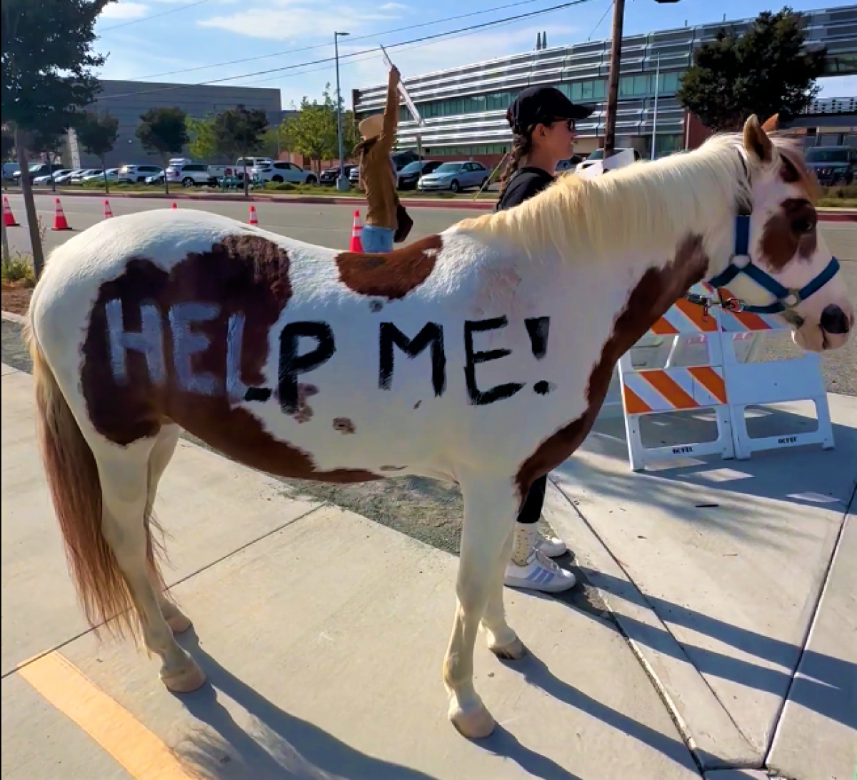 Protesters from the O.C. fairgrounds' Equestrian Center demonstrate Thursday. 