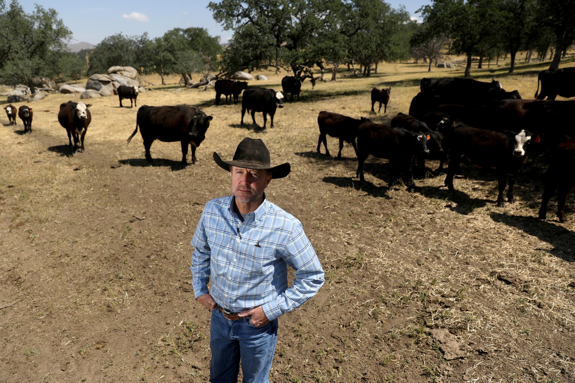 John Guthrie on his cattle ranch and farm with cattle behind him.