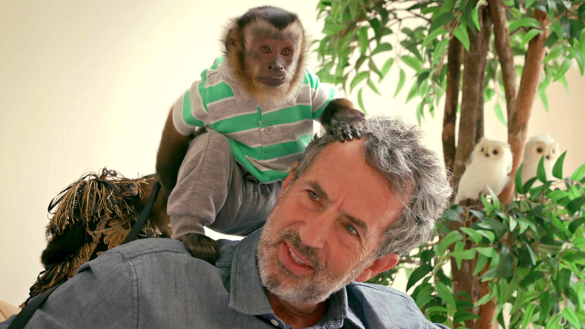 A monkey, wearing a shirt and pants, stands on a man's shoulders.