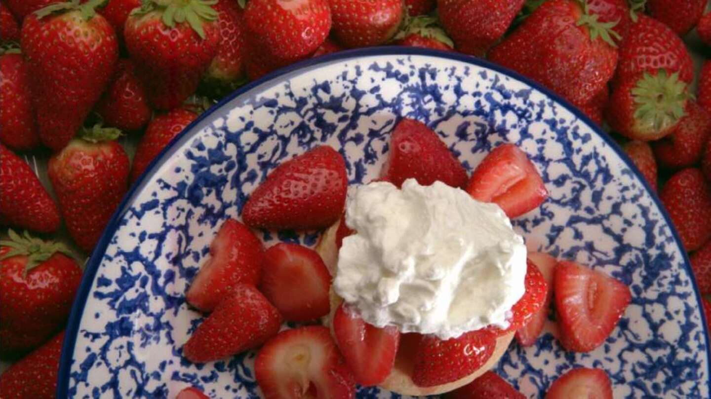 Old-fashioned strawberry shortcake